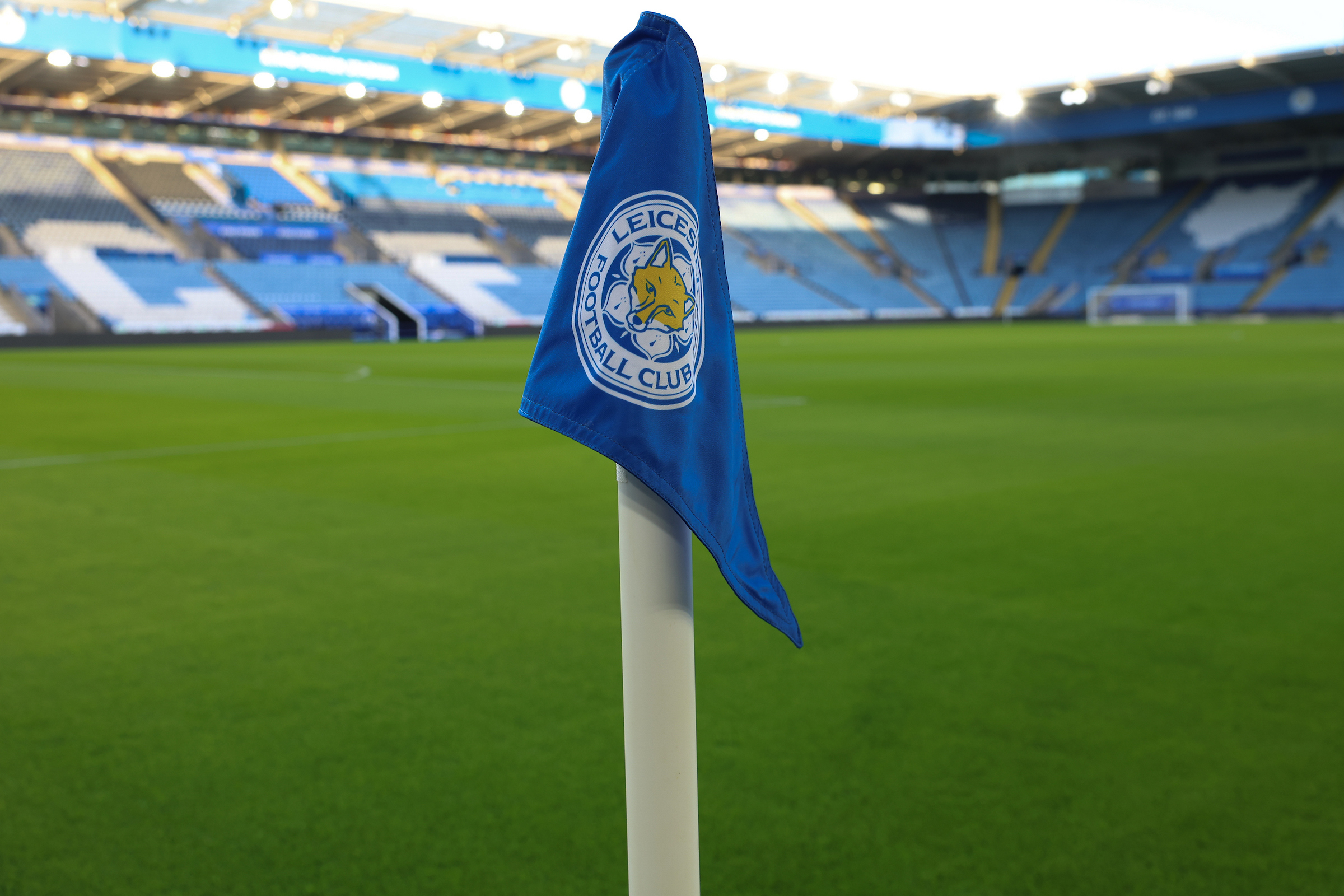 Mot konkurs: The Fall of the Foxes